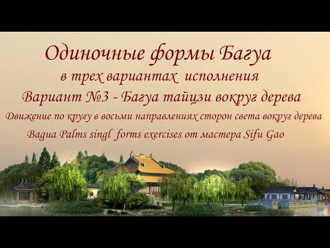Видео: Видео.№4 - Багуа тайцзи. Движение по кругу вокруг дерева. Bagua palms singl forms. Master Sifu Gao
