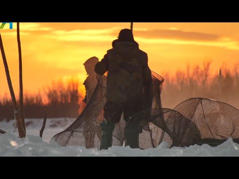 Видео: Рыбалка на грани. Кормилец или браконьер?