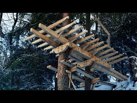 Видео: Бунгало на высоте. Строительство на деревьях. Log cabin. Ч1 Платформа.