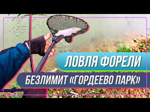 Видео: Ловля форели. Безлимит «Гордеево парк». #OnlySpin