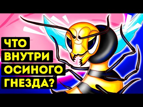 Видео: Что бы вы увидели, если бы смогли попасть в осиное гнездо