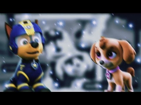 Видео: 😻Скай и Гонщик😻(Мармеладка)~Для канала Мишель Львица~😻Skye x Chase😻