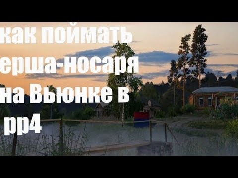 Видео: Как поймать ерша-носаря на Вьюнке рр4