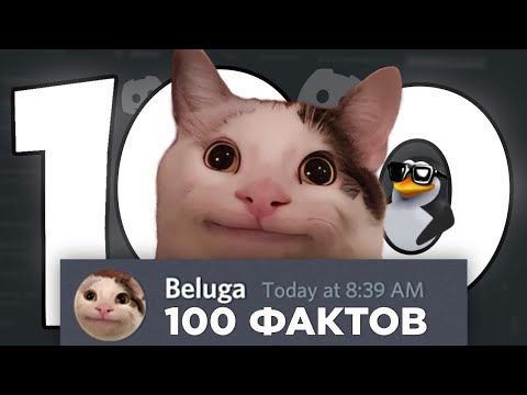 Видео: 100 фактов про БЕЛУГУ (Beluga)