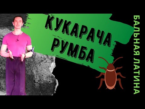 Видео: Кукарача Изначально без Кьюбн Экшена/ Что такое Кукарача/ Восьмерка/ Лекция Румба/ История Фигуры