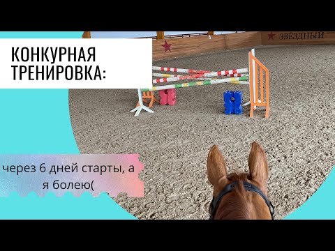 Видео: Конкурная тренировка. Я заболел, а скоро старты.