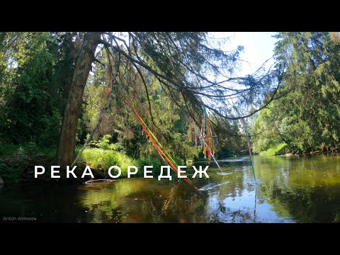 Видео: Река Оредеж. Ленинградская область (лето)