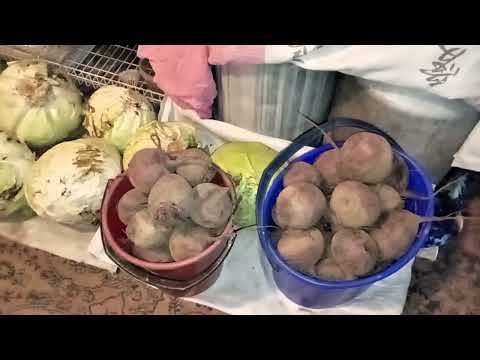 Видео: Домашние хлопоты. Купили капусту.