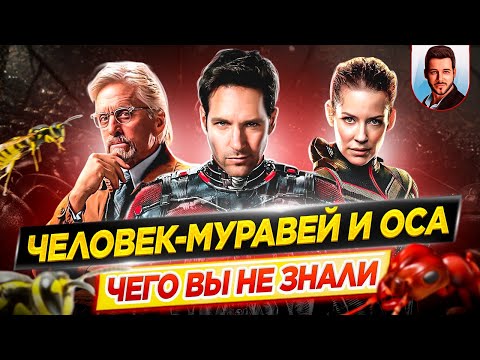 Видео: Человек муравей и Оса - Самые интересные факты - ЧЕГО ВЫ НЕ ЗНАЛИ о фильмах Marvel // ДКино
