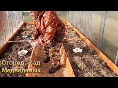 Видео: Как продезинфицировать теплицу осенью