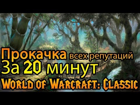 Видео: Прокачка репутаций World of Warcraft: Classic