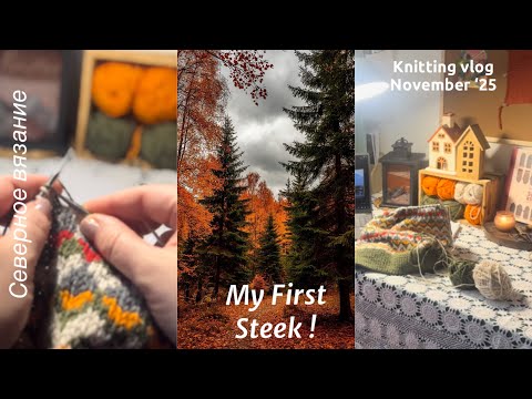 Видео: Vlog 145 | Жаккардовая жилетка со стиками | История одной вещи #вязальныйвлог #жаккард