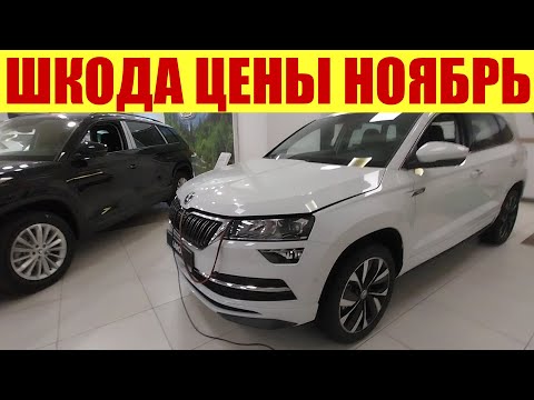 Видео: ШКОДА - НАШЕЛ ЦЕЛЫЙ САЛОН! 🤫 ЕПТЕ ПАССАТИЖИ 🚗🍁