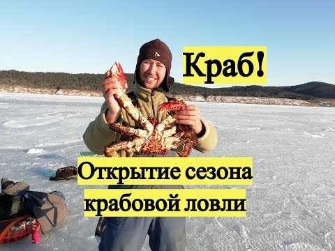 Видео: Краб! Открытие сезона крабовой ловли / Crab! Catching a crab under the sea ice