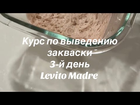Видео: Третий день выращивания моей итальянской закваски Lievito Madre 