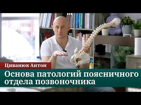 Видео: Копчик — основа патологий поясничного отдела позвоночника. Циванюк Антон