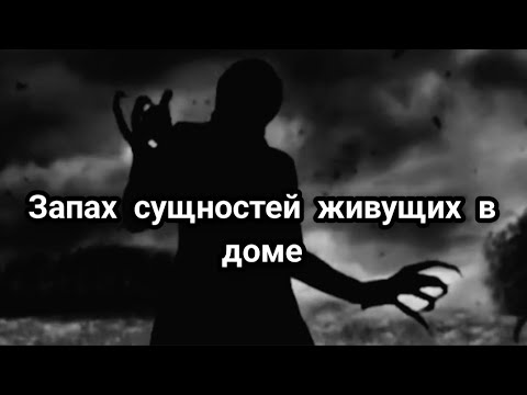 Видео: Чем пахнут сущности?