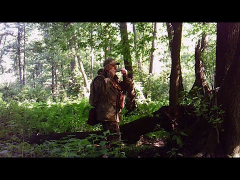 Видео: На косулю с манками в Подмосковье.