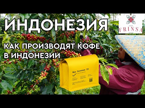 Видео: Как производят кофе в Индонезии | Кооператив FRINSA ESTATE – откуда к нам едут наши супер лоты