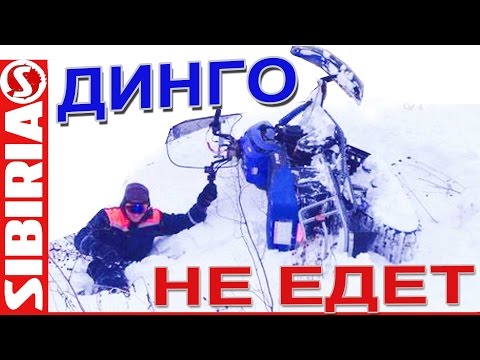 Видео: Динго НЕ ЕДЕТ. Динго Т150 по глубокому снегу с настом. Ирбис динго т150 проходимость