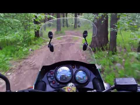 Видео: Kawasaki KLE 400 в лесу | Часть 2