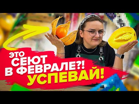 Видео: ЧТО СЕЯТЬ В ФЕВРАЛЕ? КОГДА СЕЯТЬ ТОМАТЫ, ПЕРЦЫ, БАКЛАЖАНЫ?