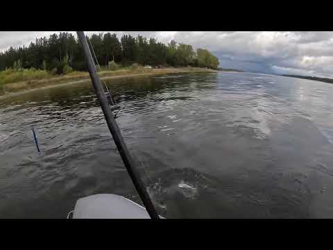 Видео: Кононово. Сентябрь 2023