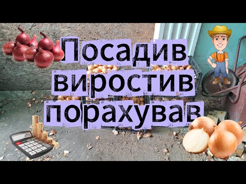 Видео: На скільки вигідно вирощувати цибулю вдома?