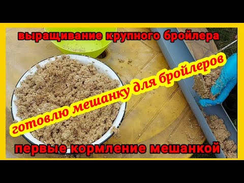 Видео: На мешанке мой бройлер растёт быстрее. Как приготовить сытную мешанку, один из вариантов мешанки.