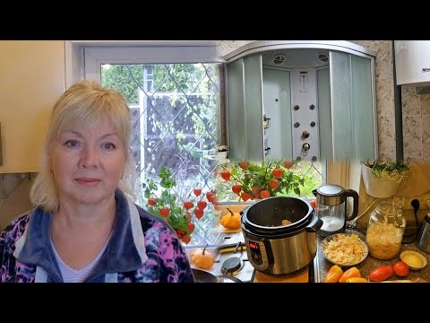 Видео: Vlog Домашние дела ДУШЕВАЯ КАБИНА- Плюсы и Минусы.КВАШЕНАЯ КАПУСТА  по быстрому СЛОМАЛИСЬ все ТВ