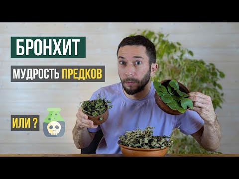 Видео: Бронхит уйдет за ночь? 3 травы, которые использовали наши предки
