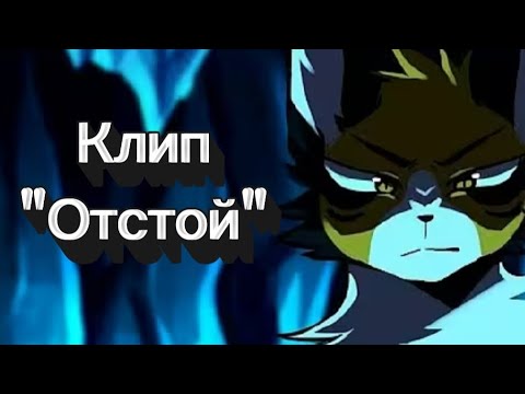 Видео: Коты-воители/Кленовница/Клип/"Отстой"