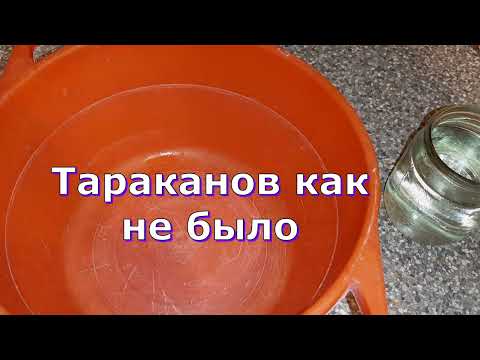 Видео: Отличное средство от тараканов! За 3 ДНЯ! Тараканов как не было