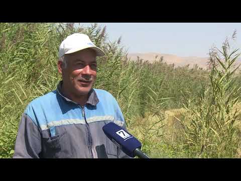 Видео: Күрүчтүн мекени - Кара-Дарыя (2020)