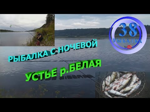 Видео: РЫБАЛКА С НОЧЕВКОЙ, УСТЬЕ Р.БЕЛАЯ