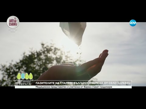 Видео: Да хванеш гората (24.09.2023)
