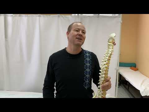 Видео: Упражнения при межпозвоночной грыже с  радикулопатией