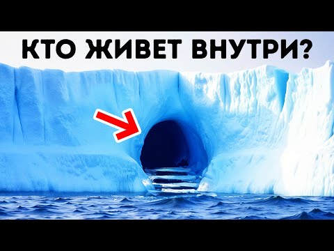Видео: Лестница, найденная в пещере Антарктики // Самые загадочные уголки Земли