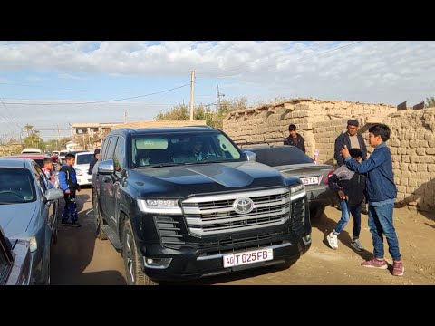 Видео: ЛУЛИЛАР ТУЙИ КАШКАДАРЁ