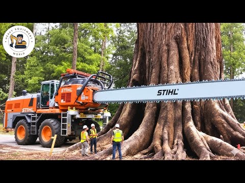 Видео: Экстремально опасные и быстрые большие бензопилы для валки деревьев | Экскаватор-монстр для удале...