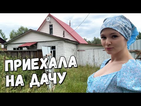 Видео: Гилтикус приехала на дачу