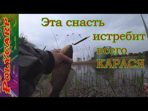 Видео: ЛОВЛЯ КРУПНОГО КАРАСЯ НА МОРМЫШКУ ВЕСНОЙ