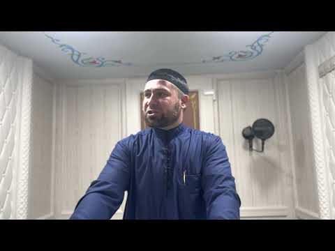 Видео: Хьехам Жоьжг1атенах Лаьц / Ахмадов Турпал.