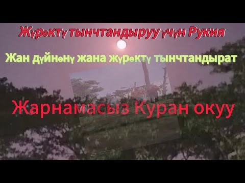 Видео: Рукия жанды жана акылды тынчтандыруу үчүн 