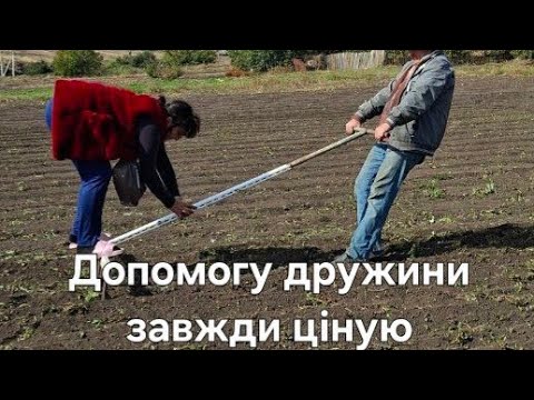 Видео: Фрезуваня ділянки та посадка воздушки часника любаші 