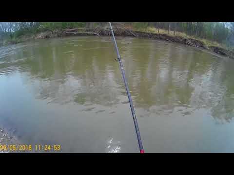 Видео: Рыбалка в очень мутной воде.