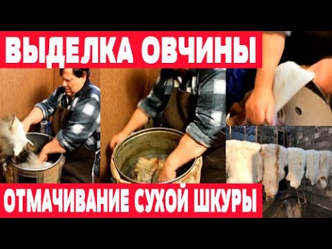 Видео: Отмачивание шкуры  Выделка овчины  Часть 2 mp4