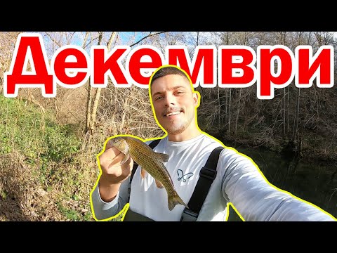 Видео: ЗИМЕН Риболов на КЕФАЛИ с ВОБЛЕРИ – Удар след Удар!