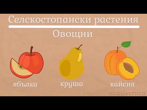 Видео: Растения в природата - Човекът и природата 3 клас | academico