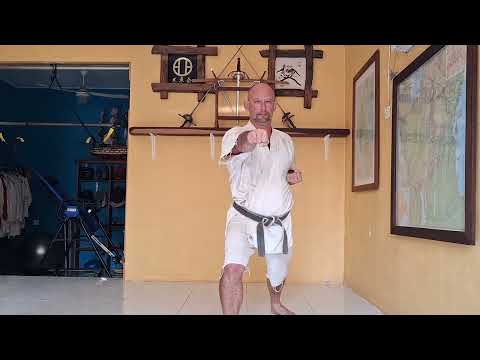 Видео: Челлендж "108 дней Тайкеку". День 3.